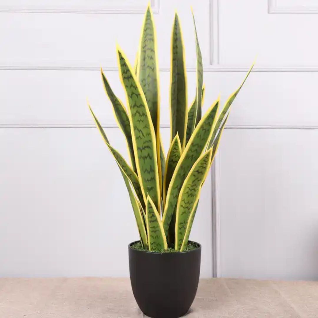 70cm Plant Artificial Sansevieria, Snake, Flowers, home decor, events, garden  Aplant945b- Green Yellow