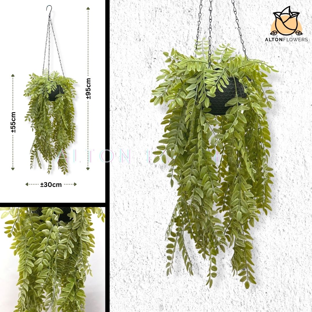 Hanging Plant Artificial Sophora Leaves Bush with Hanging Pot, Home Decor, Garden, Events Aplant946