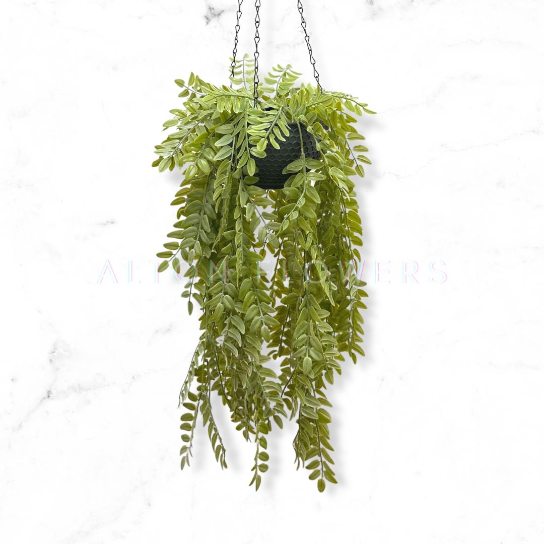 Hanging Plant Artificial Sophora Leaves Bush with Hanging Pot, Home Decor, Garden, Events Aplant946