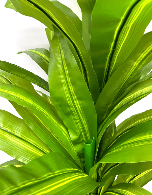 160cm Plant Dracena x3 heads Artificial, home decor, events, gardens  Approx 5 feet, Aplant947