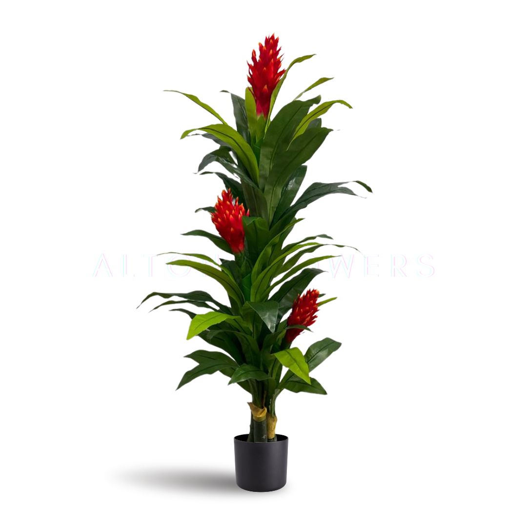 Buy Artificial Protea Plant | Perfect for Home Styling
