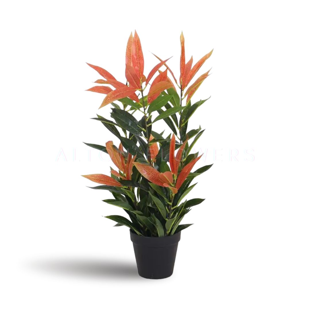 55cm Plant Artificial Photinia with Pot, home decor, gardening, events, balcony, decoration Aplant949