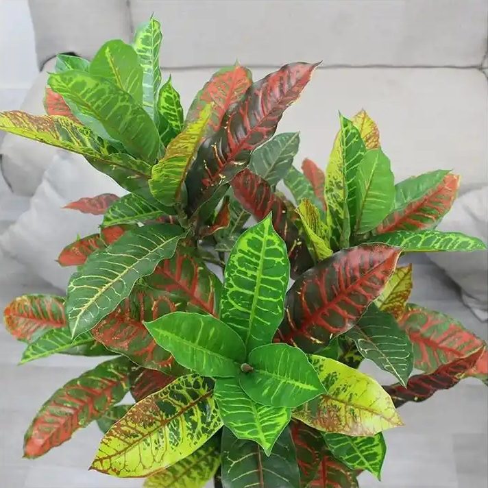 125cm Plant Artificial Codiaeum with Pot, home decor, gardening, events, balcony, decoration Aplant950