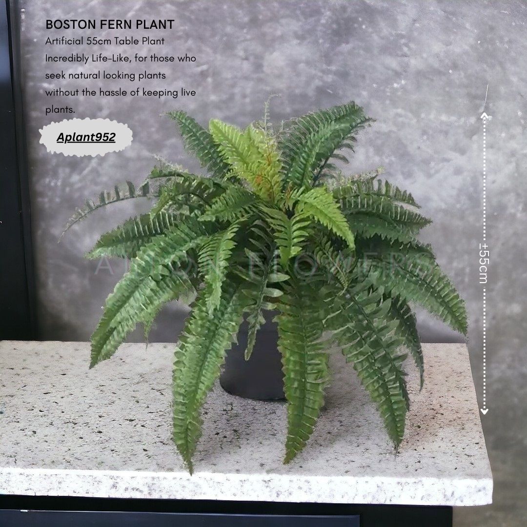 55cm Artificial Plant Boston Fern, home decor, garden, balcony, events, flowers Aplant952