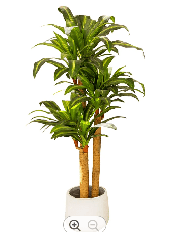130cm Artificial Plant Dracaena x3 heads, home decor, garden, balcony, flowers, Aplant955