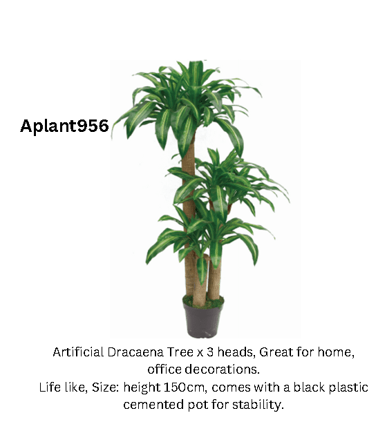 150cm [SG STOCK]Large Artificial Plant Fake Tree 60/90/120cm Flower For Home Office Garden Hotel Decoration Dracaena-150cm Aplant956
