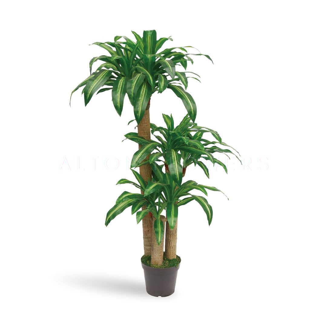 150cm [SG STOCK]Large Artificial Plant Fake Tree 60/90/120cm Flower For Home Office Garden Hotel Decoration Dracaena-150cm Aplant956