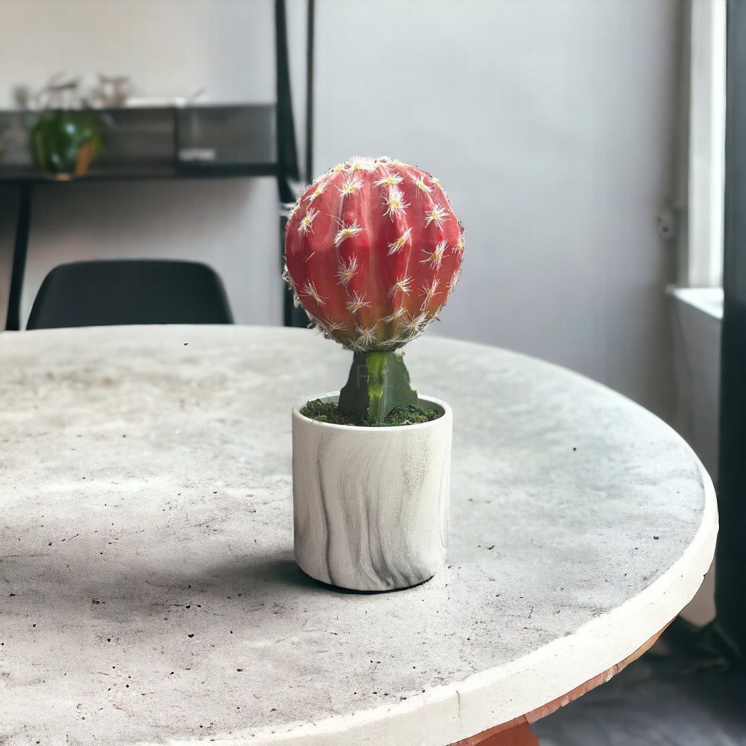 23cm Artificial Plant Crown Cactus in a Marble Ceramic Pot, home office deco, Aplant967