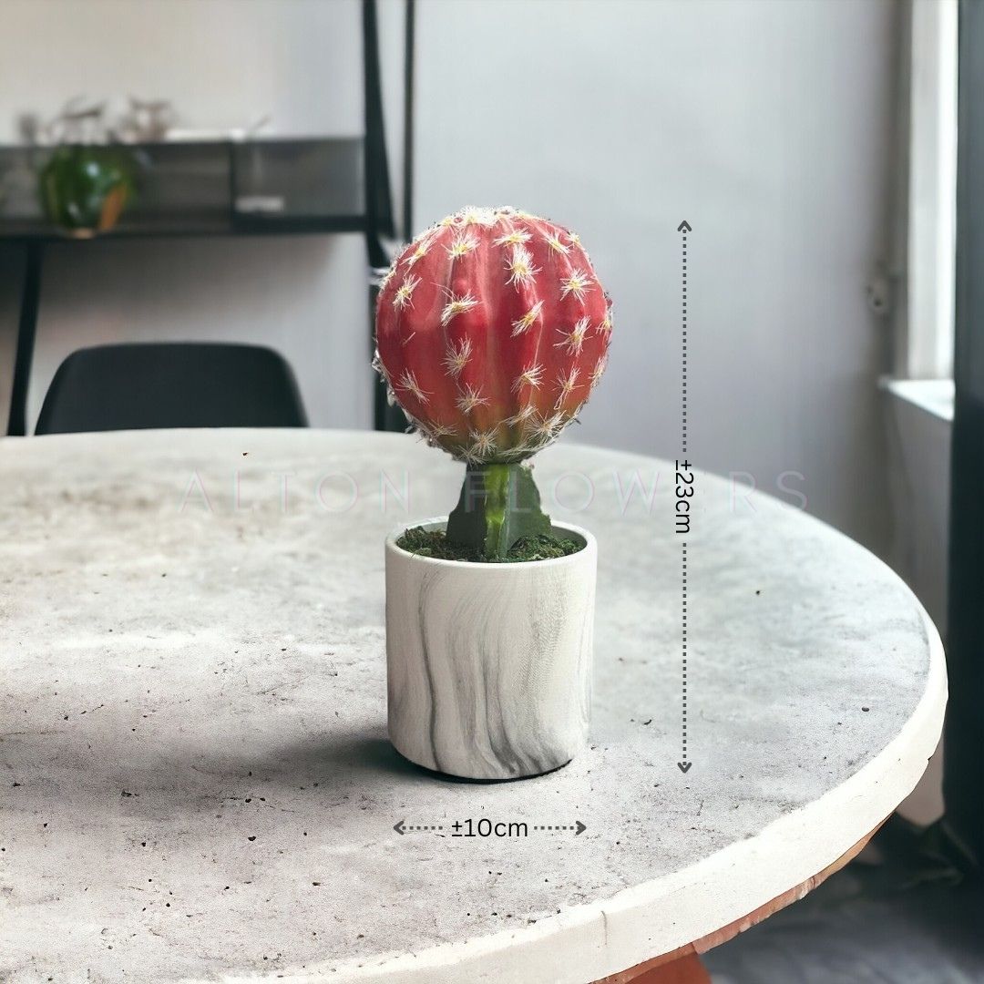 23cm Artificial Plant Crown Cactus in a Marble Ceramic Pot, home office deco, Aplant967