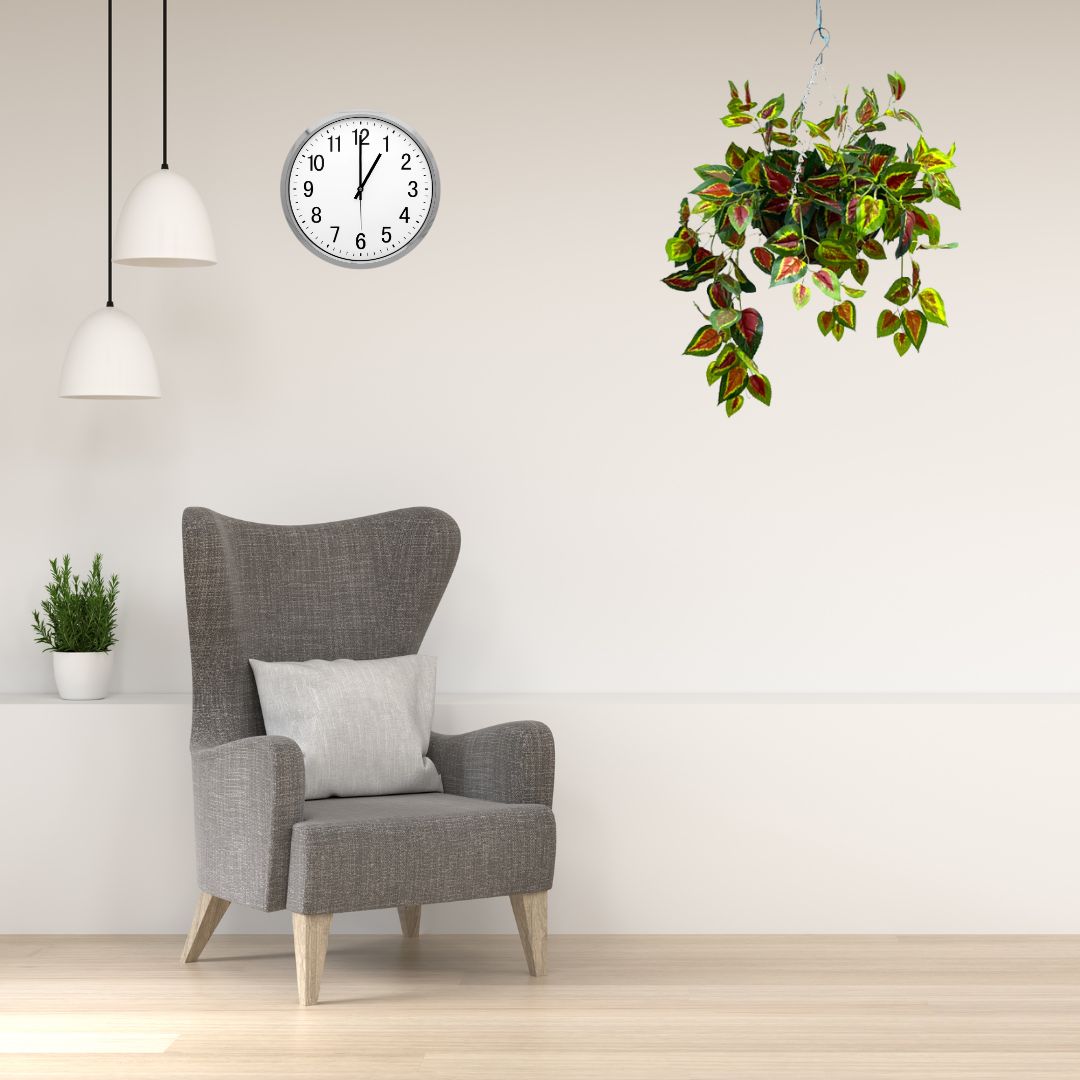 Hanging Plant with Cocofibre Pot, home decor, garden, events, balcony Aplant969