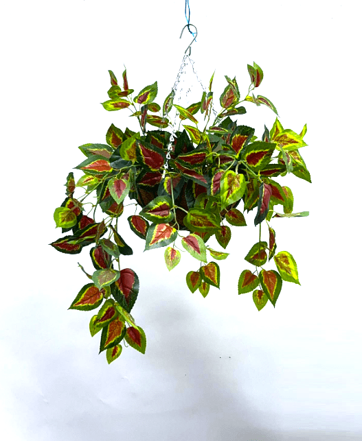 Hanging Plant with Cocofibre Pot, home decor, garden, events, balcony Aplant969