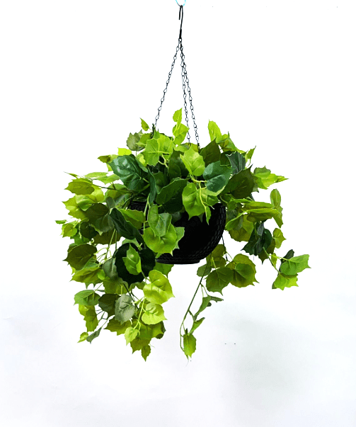 Hanging Plant with Plastic Pot, home decor, garden, events, balcony Aplant970