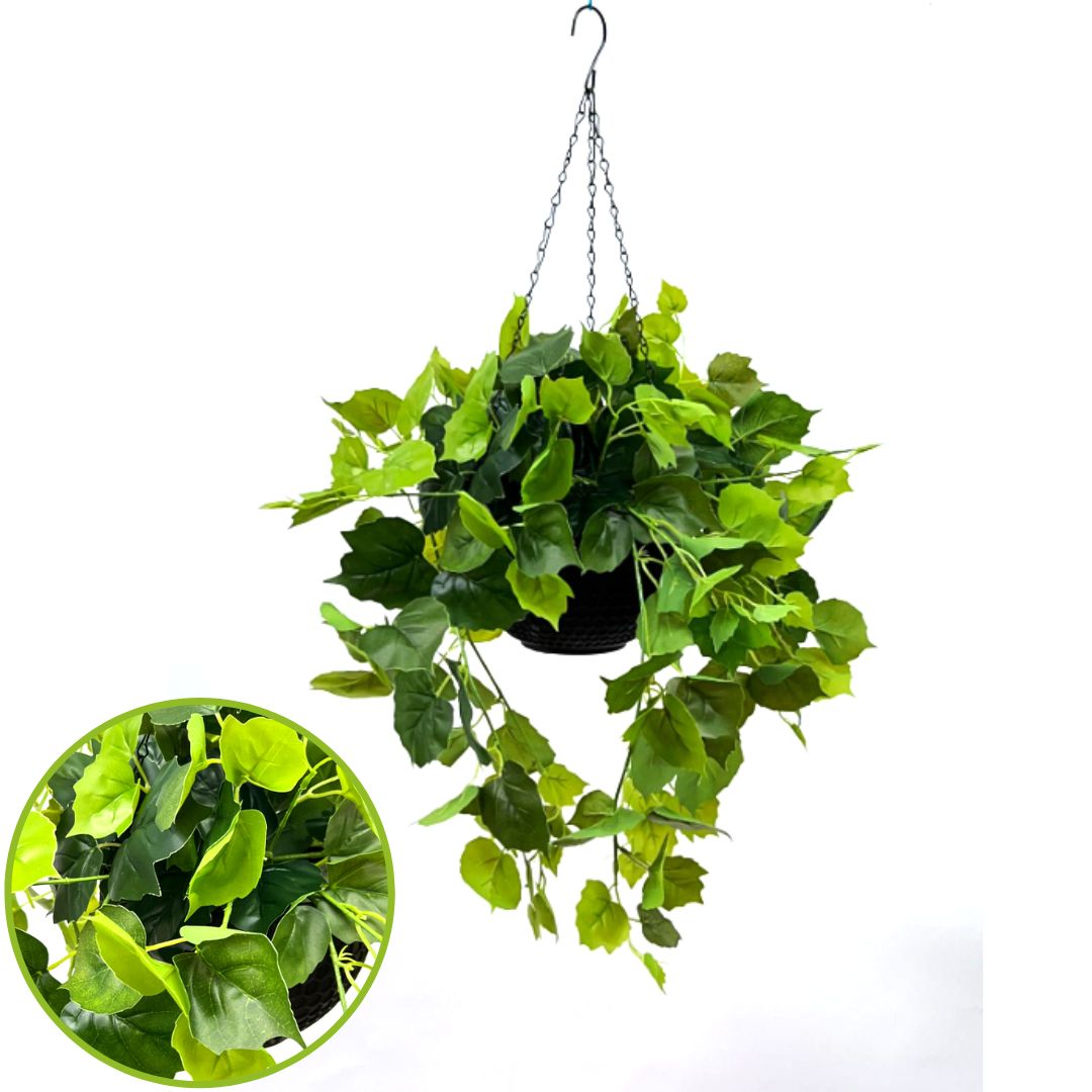 Hanging Plant with Plastic Pot, home decor, garden, events, balcony Aplant970