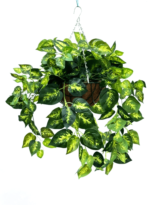 Hanging Plant with Plastic Pot, home decor, garden, events, balcony Aplant971