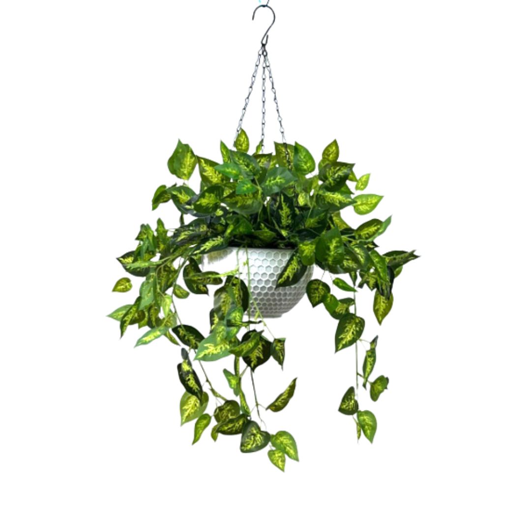 Hanging Plant with Plastic Pot, home decor, garden, events, balcony Aplant971