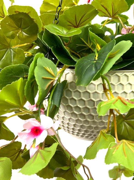 Hanging Plant with Plastic Pot, home decor, garden, events, balcony Aplant974