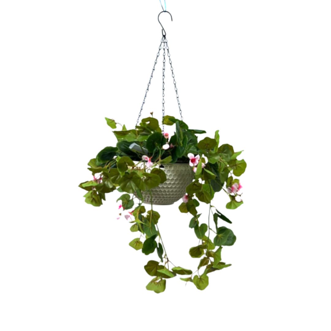Hanging Plant with Plastic Pot