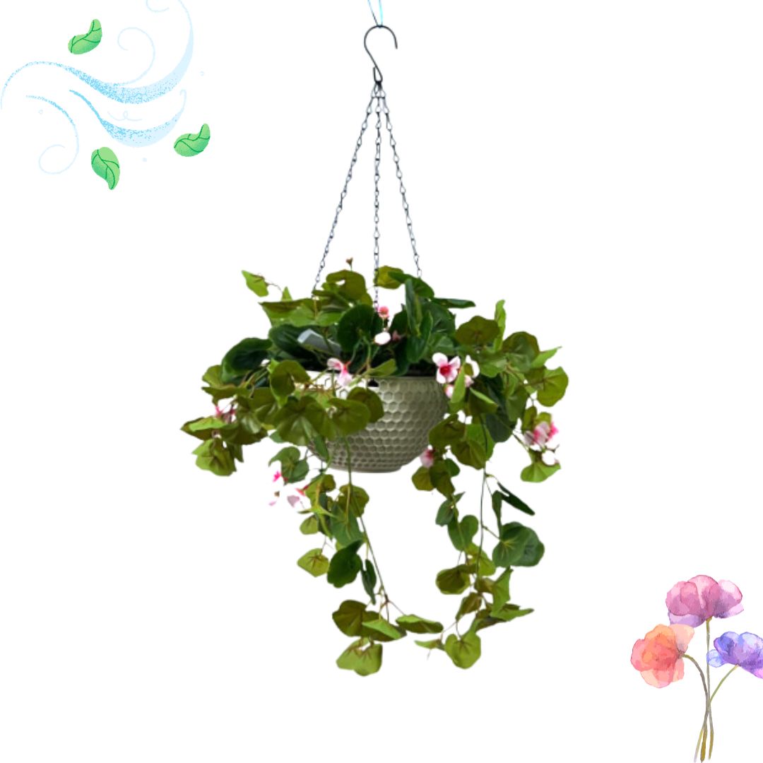 Hanging Plant with Plastic Pot, home decor, garden, events, balcony Aplant974