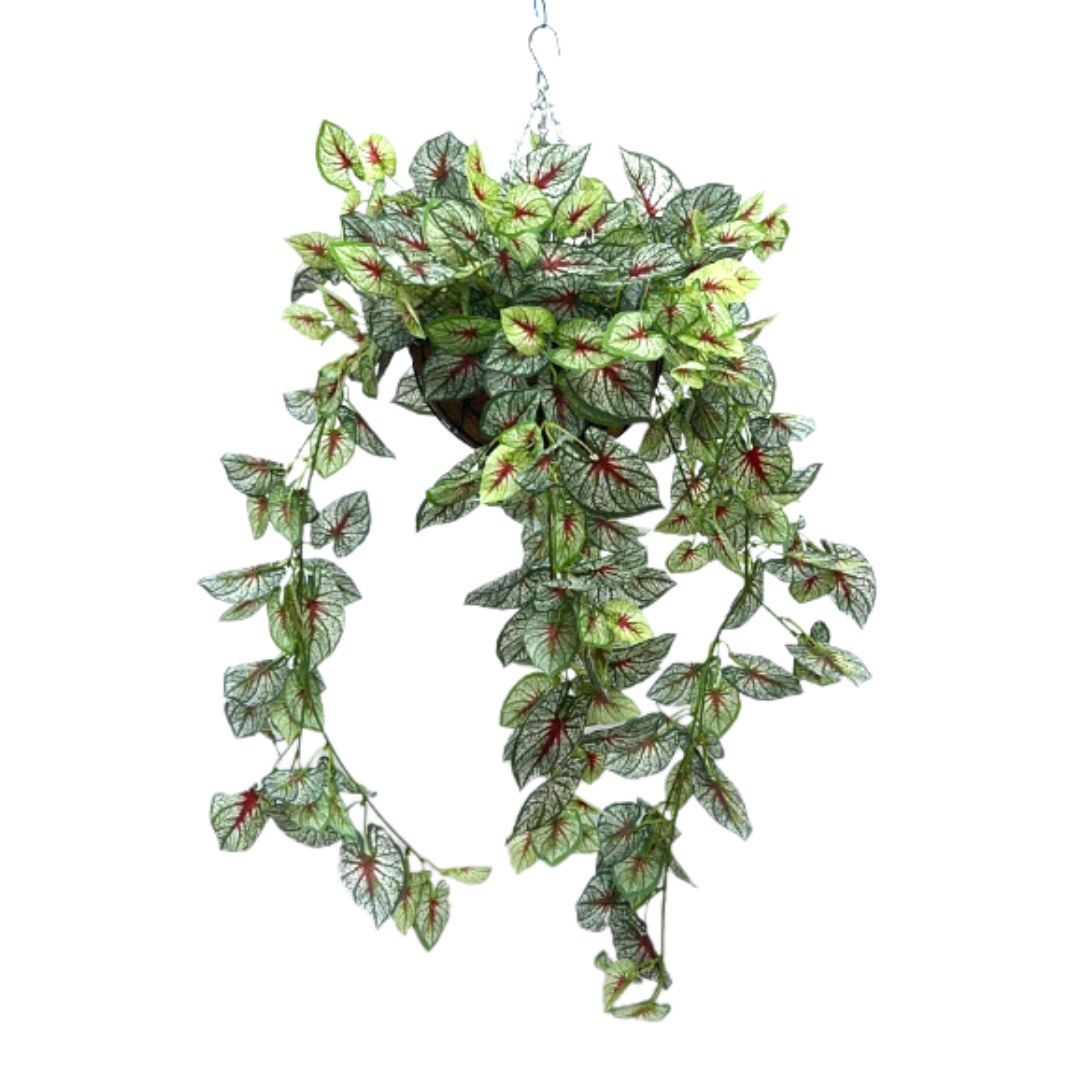 Hanging Plant with Plastic Pot, home decor, garden, events, balcony Aplant976