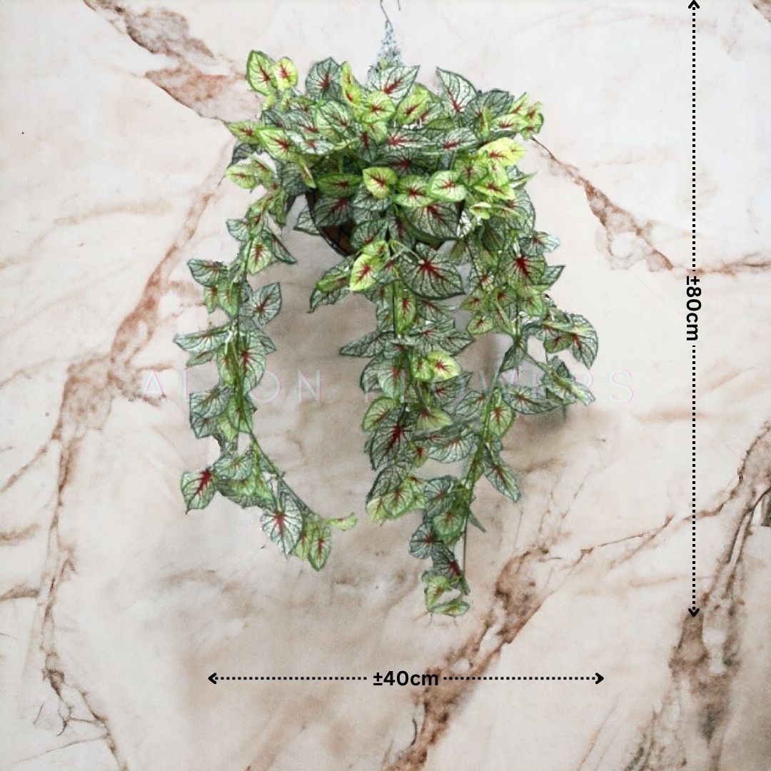 Hanging Plant with Plastic Pot, home decor, garden, events, balcony Aplant976