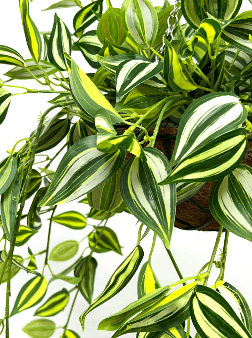 Hanging Plant with Plastic Pot, home decor, garden, events, balcony Aplant977