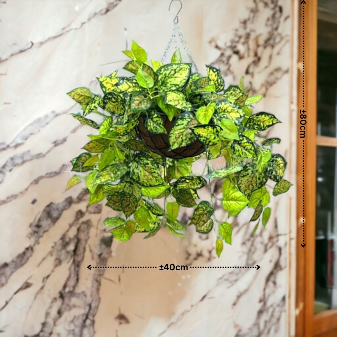 Hanging Plant with Plastic Pot, home decor, garden, events, balcony Aplant978