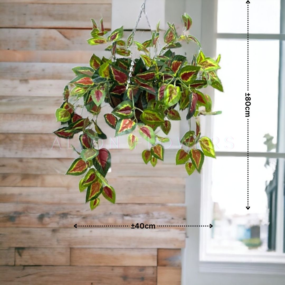 Hanging Plant with Plastic Pot, home decor, garden, events, balcony Aplant979