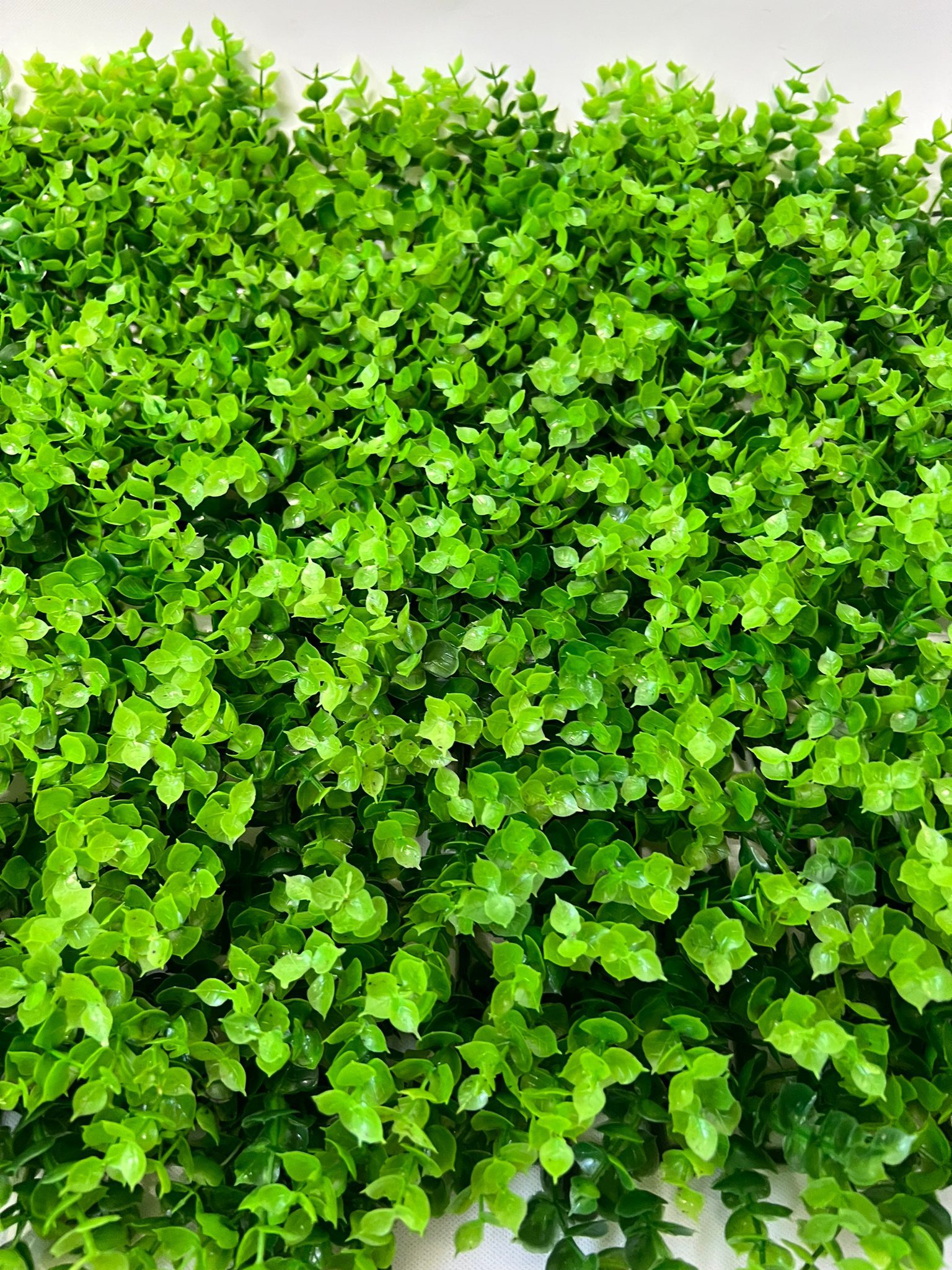 Artificial Grass Panel Mini Eucalyptus Plant Wall Vertical Garden Floors Homes Offices Events Aplant984