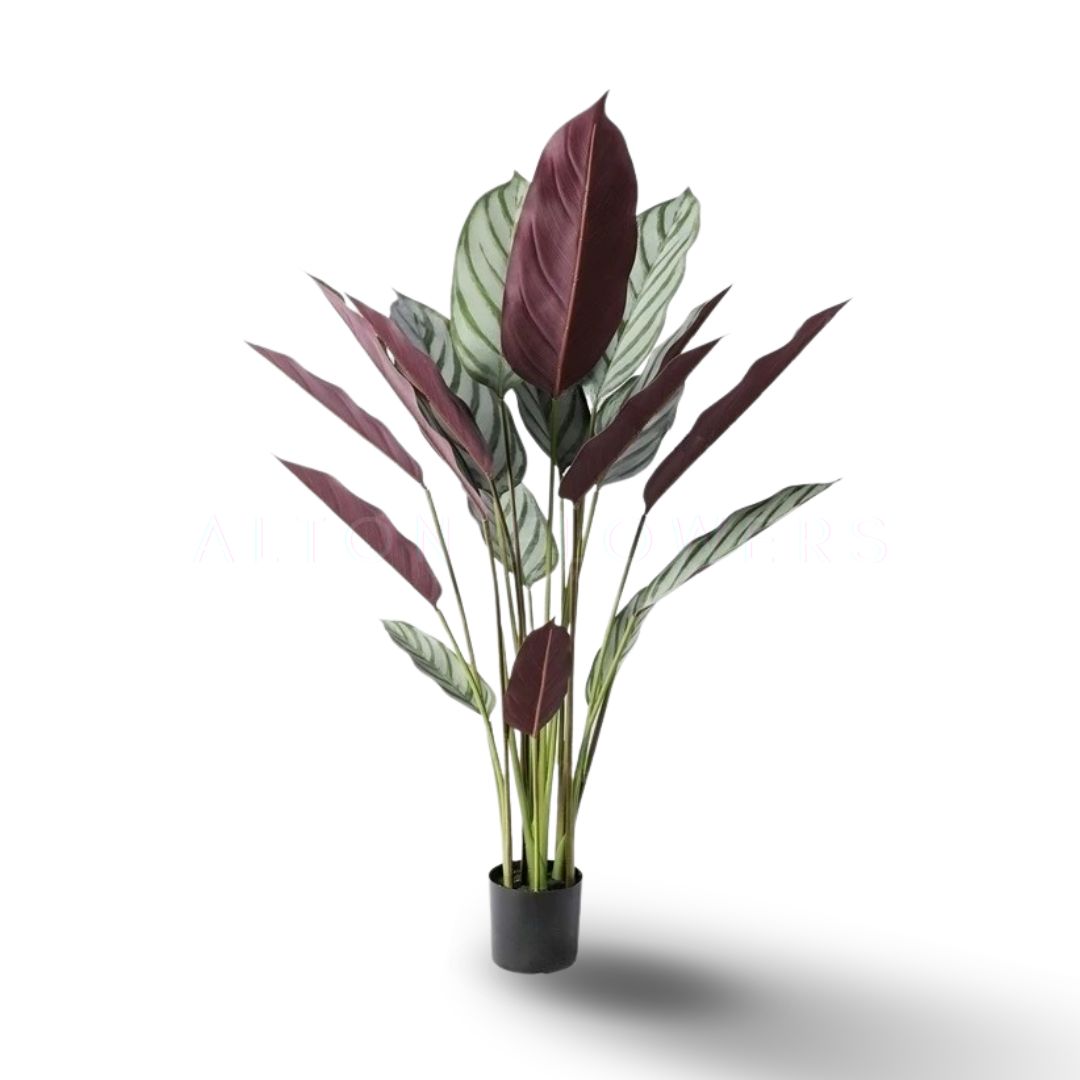 120cm Artificial Calathea