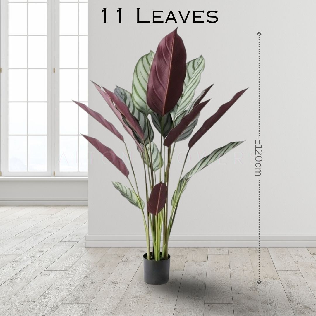 120cm Artificial Calathea Setosa Plant, Artificial, Home Decor, Events, Garden Aplant985