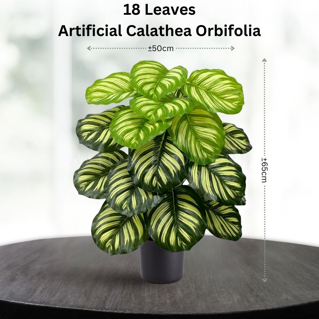 65cm Calathea Orbifolia Artificial Plant Potted 18 Leaves Aplant989