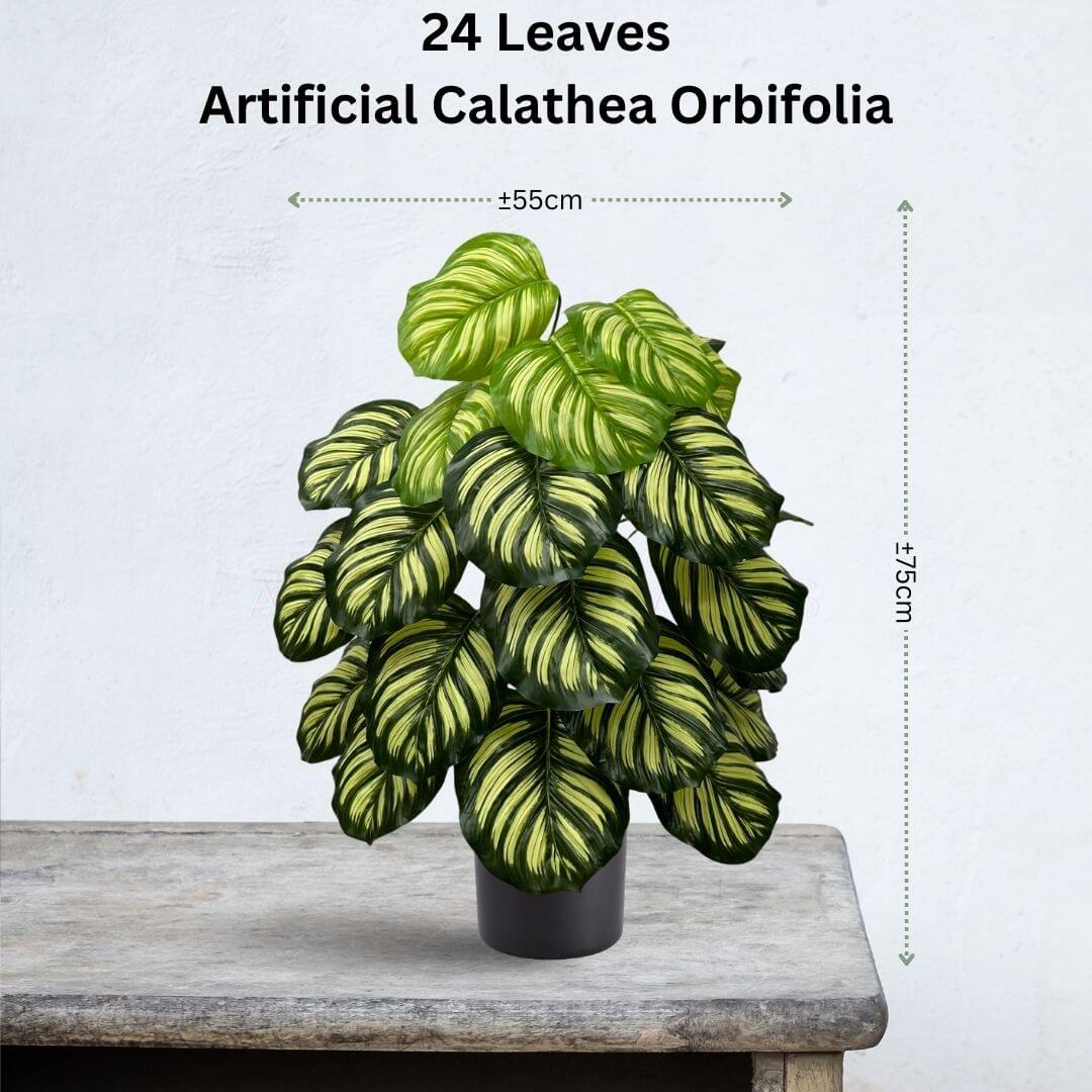 75cm Calathea Orbifolia Artificial Plant Potted 24 Leaves Aplant990