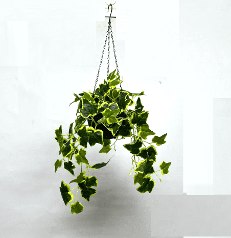 Artificial Plant Hanging with double layer plastic pot, home decor, events, garden Aplant996