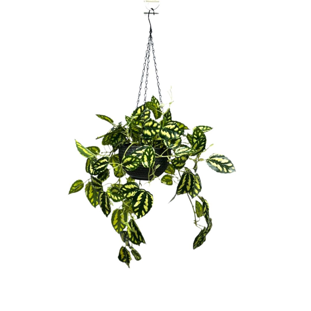 Artificial Plant Hanging with double layer plastic pot, home decor, events, garden Aplant997