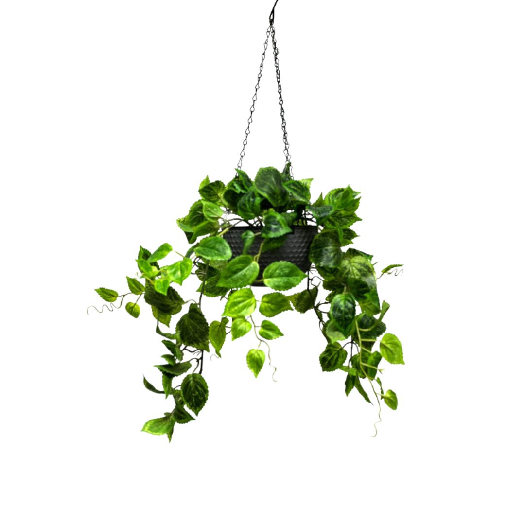 Artificial Plant Hanging with double layer plastic pot, home decor, events, garden Aplant998