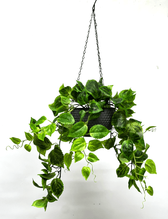 Artificial Plant Hanging with double layer plastic pot, home decor, events, garden Aplant998