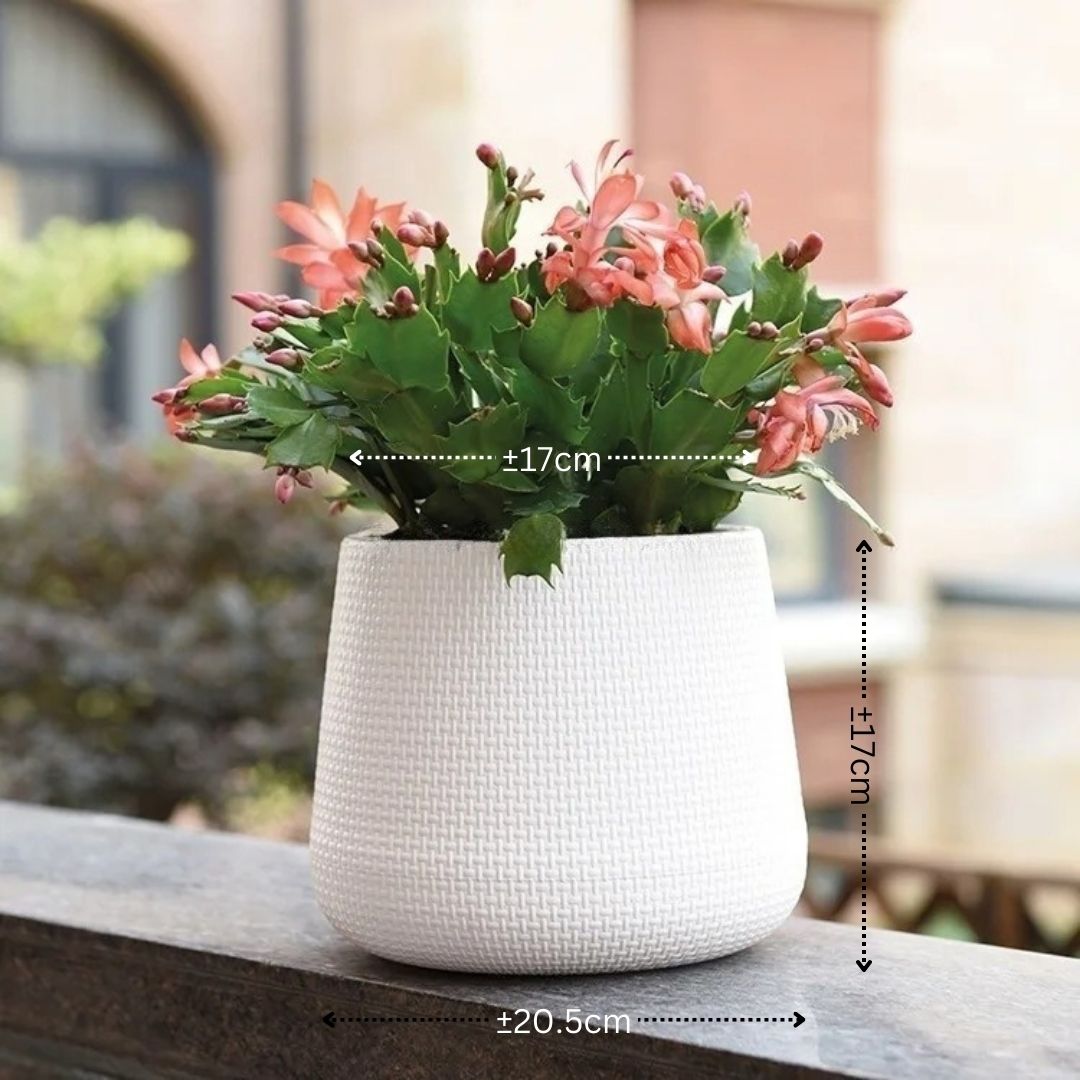17cm Planter for plants, both artificial & fresh, Plastic Avase207-XS