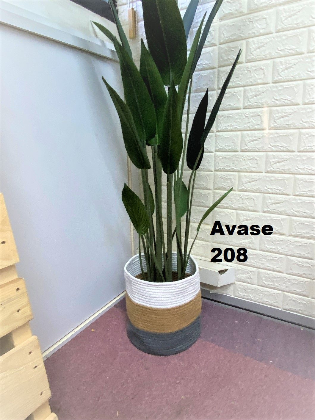 Avase208 3 1