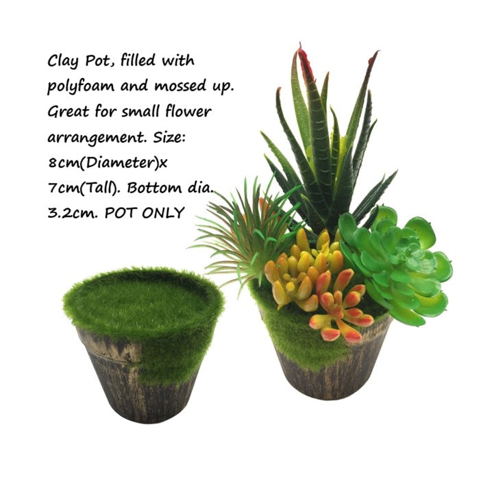 Small 7cm pot with lush moss plant in stylish Alton Flowers vase, ideal for indoor decor or gift display.
