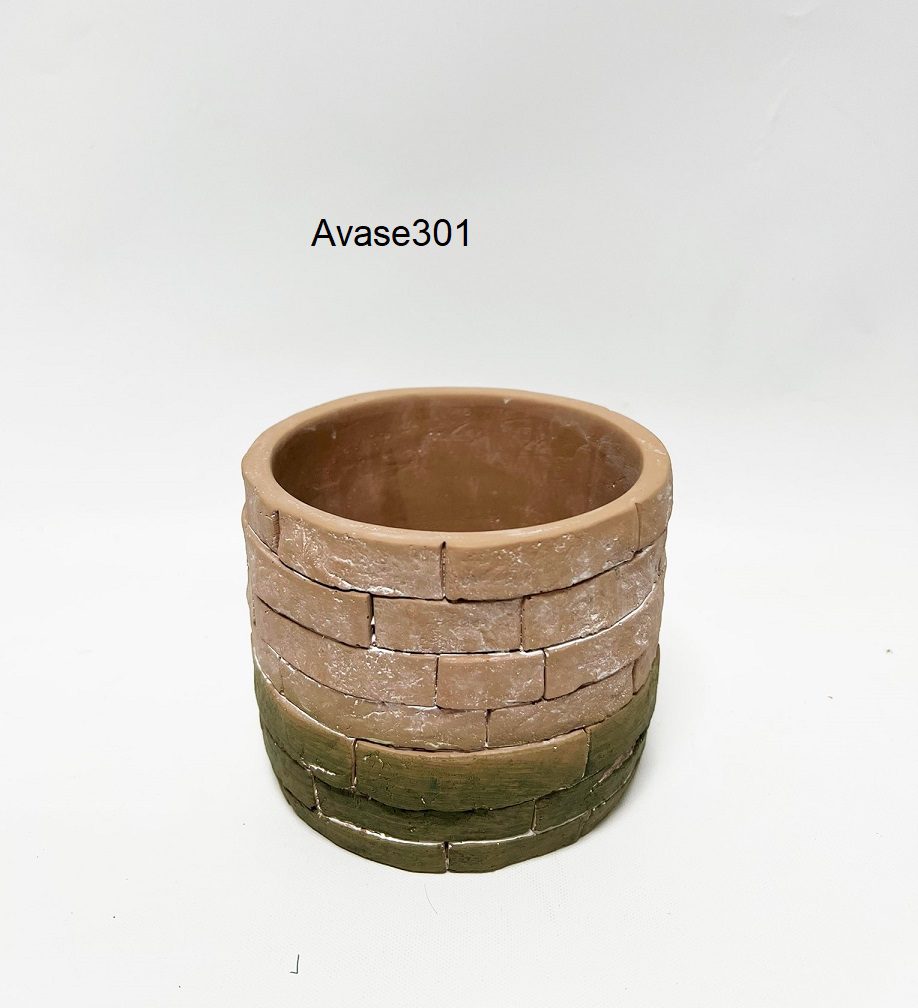 Avase301 1