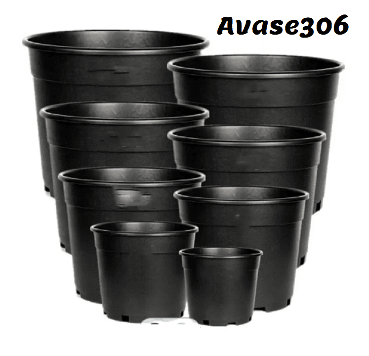 Avase306 1
