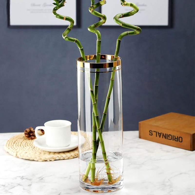 20cm Gold Rim Glass Vase Transparent Living Room Floor Lucky Bamboo Hydroponic Hydroponic Simple Ornaments/landing Avase317