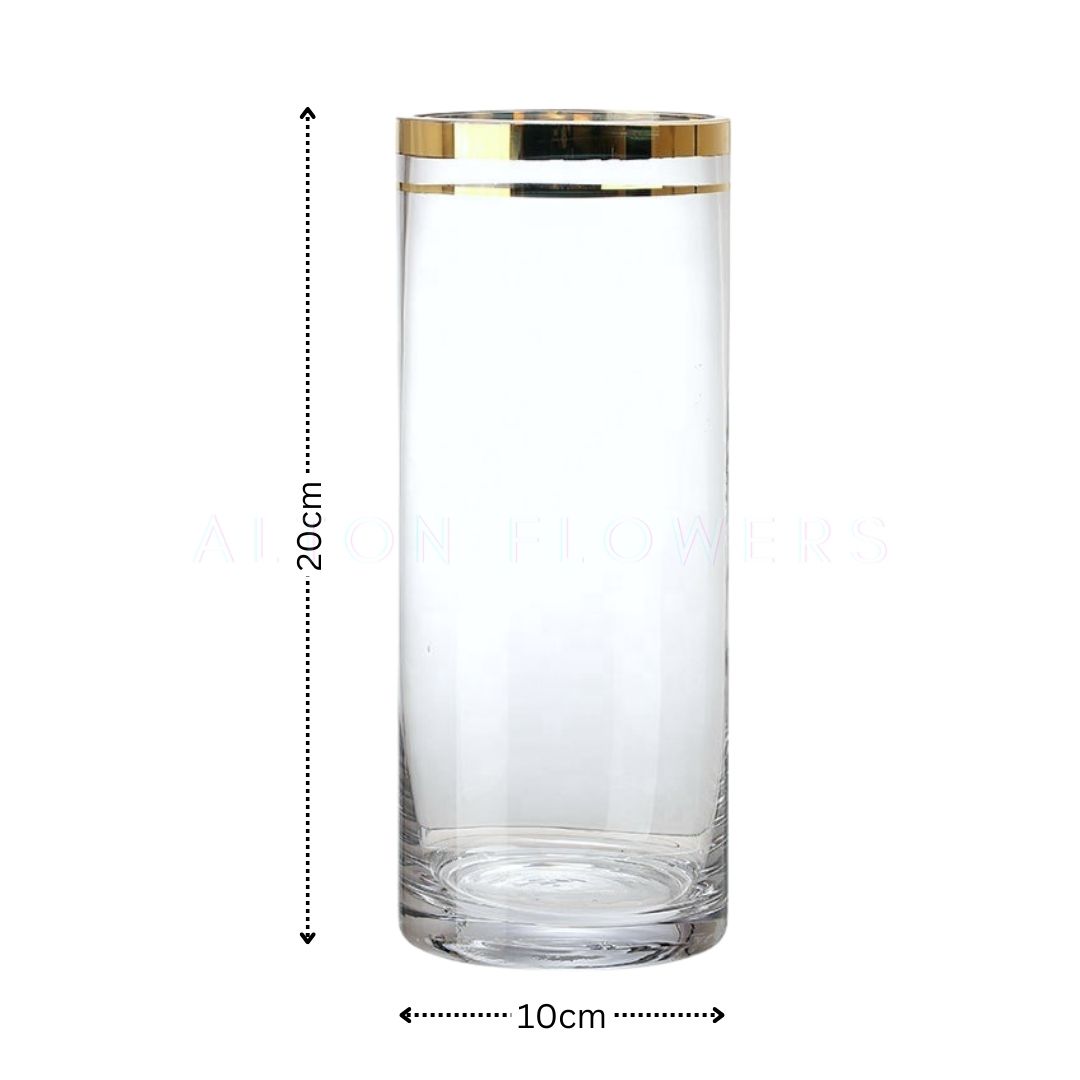 20cm Gold Rim Glass Vase Transparent Living Room Floor Lucky Bamboo Hydroponic Hydroponic Simple Ornaments/landing Avase317