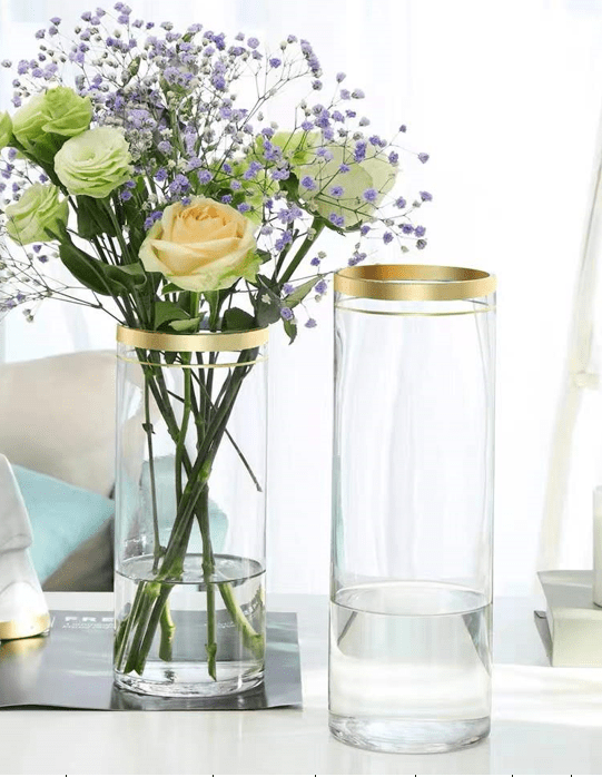 20cm Gold Rim Glass Vase Transparent Living Room Floor Lucky Bamboo Hydroponic Hydroponic Simple Ornaments/landing Avase317