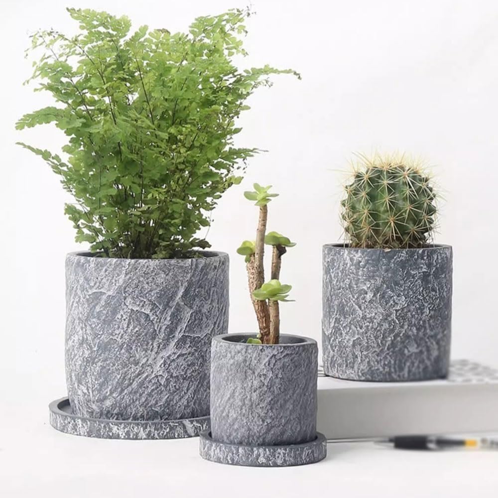 Vase Ceramic for flower, plants, plants , glass vase in metal frame , home decor , Avase394