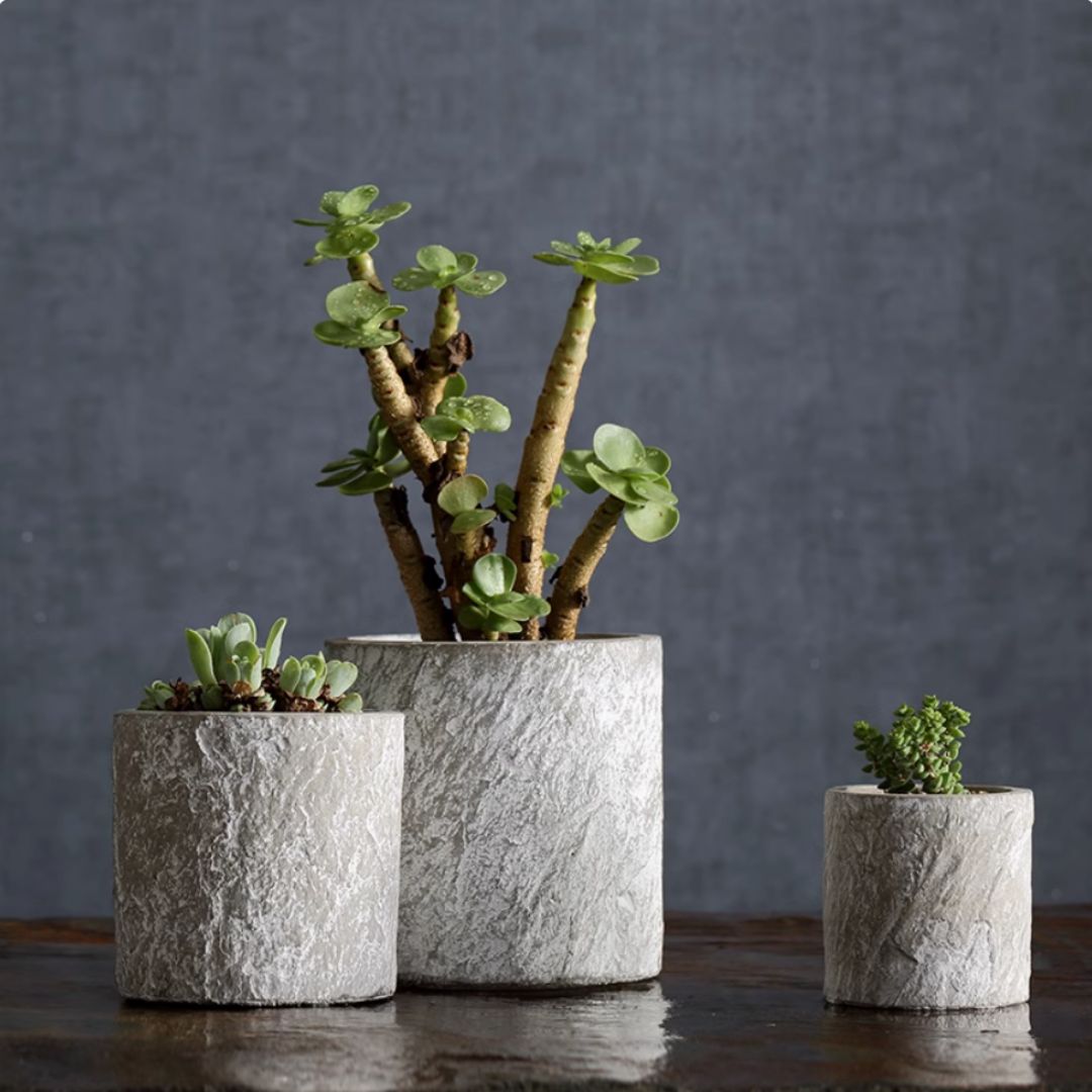 Vase Ceramic for flower, plants, plants , glass vase in metal frame , home decor , Avase395