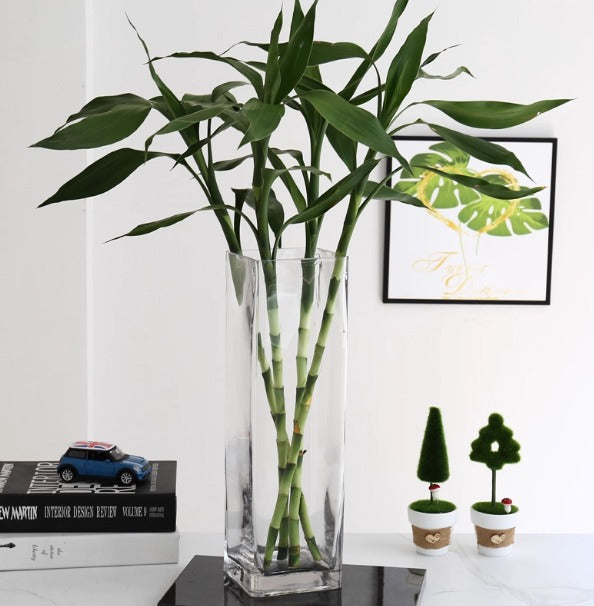 Bamboo plant in a clear vase on a table with decorative items in the background