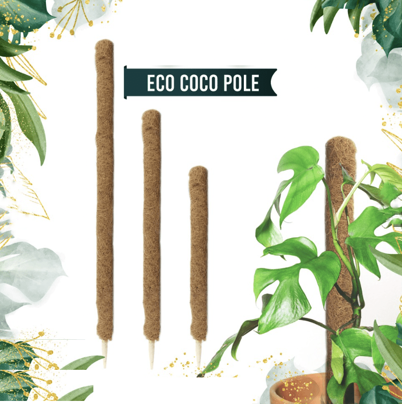 IMG 20220719 152408 1