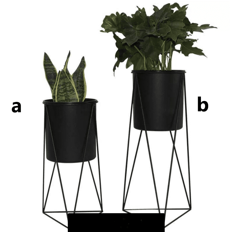 IMG 20220802 135247 1