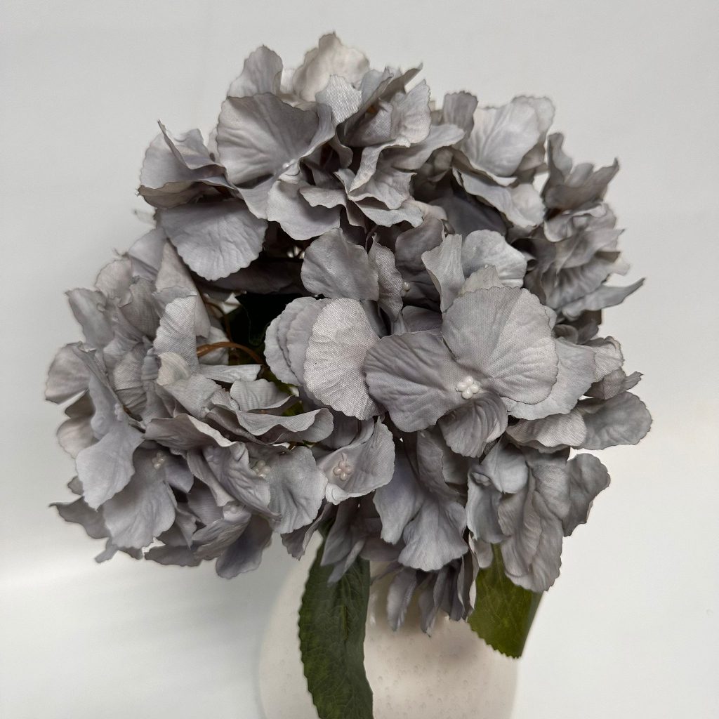 Hydrangea Bush x 5 flowers head per bush Afaux103